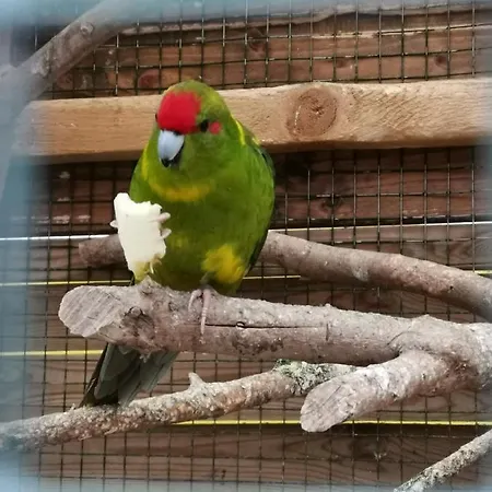 Konukevi Rustic Eden