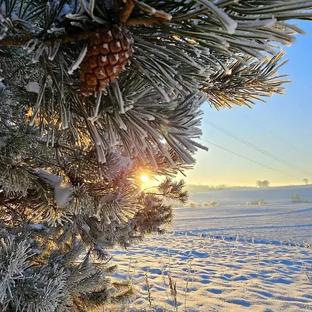 Eden Kwatera Z Dusza Gasthof Pavlova Ves