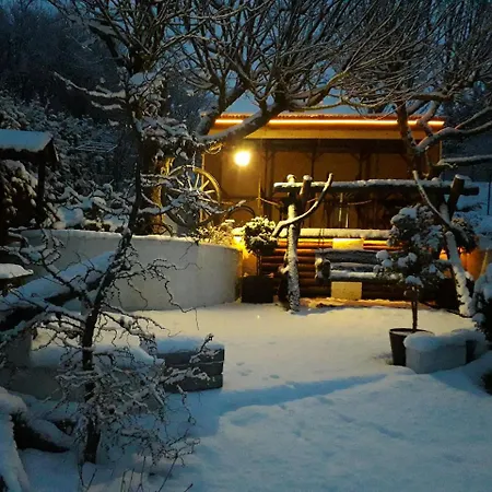 Rustic Eden 게스트하우스