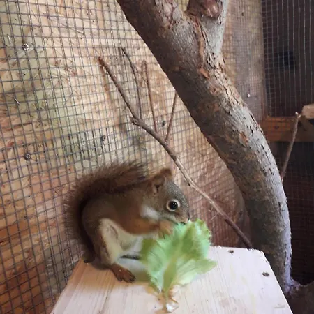 Eden Kwatera Z Dusza